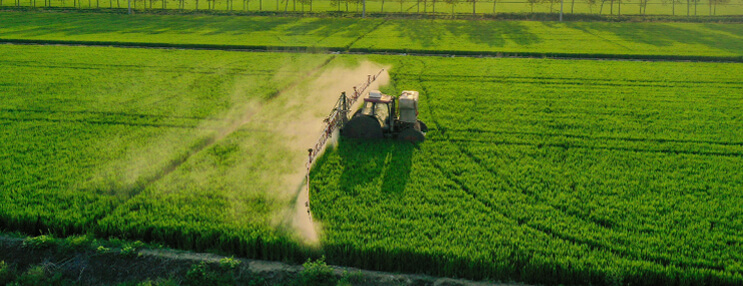 如何选择温室大棚样式：连栋温室与日光温室的对比分析