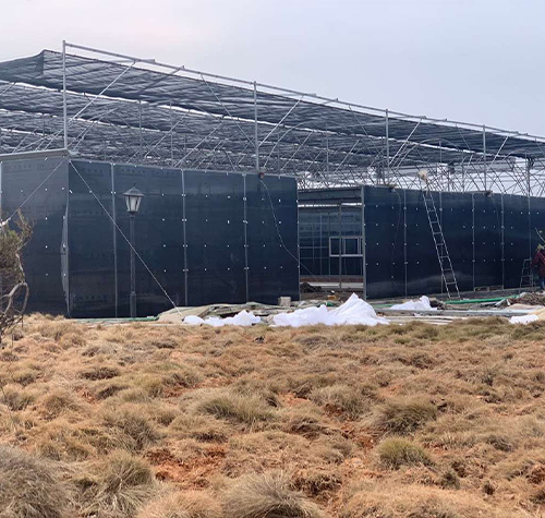 定制阳光板温室