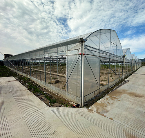 定制连栋大棚