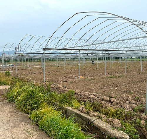 定制外遮阳连栋大棚