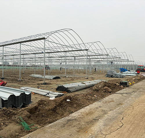 外遮阳连栋大棚