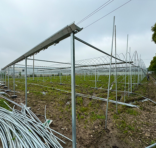 定制外遮阳连栋大棚