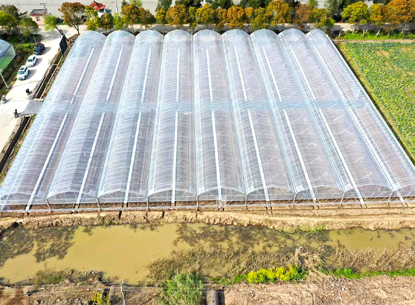 连栋大棚与单体棚优劣势对比分析