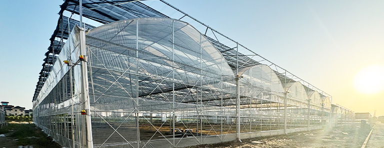 外遮阳连栋大棚