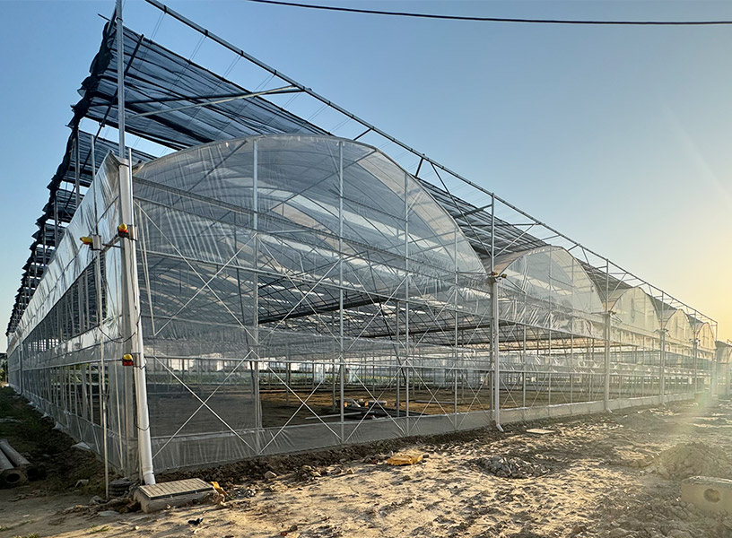 外遮阳连栋大棚